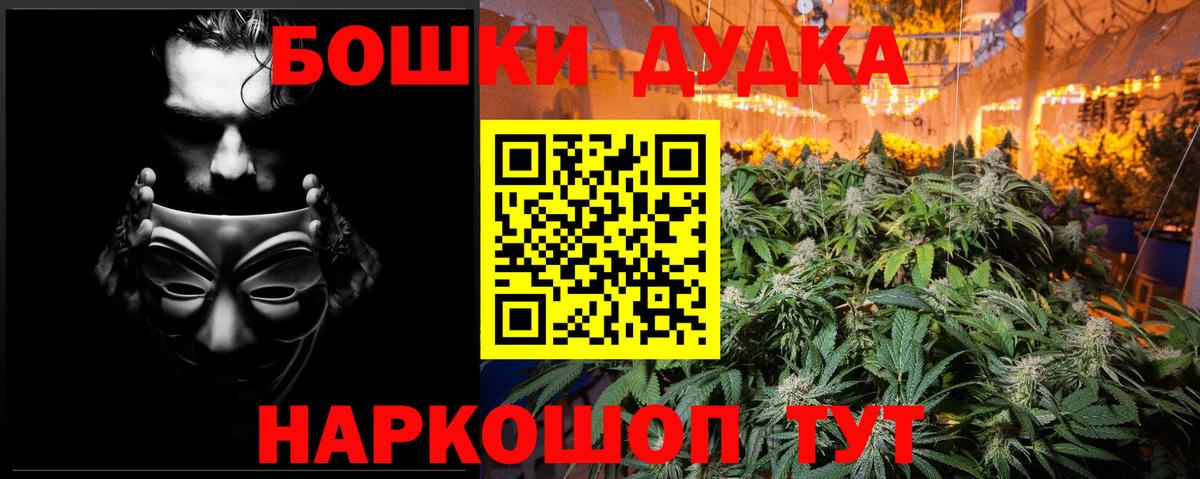 Бошки марихуана сатива Будённовск